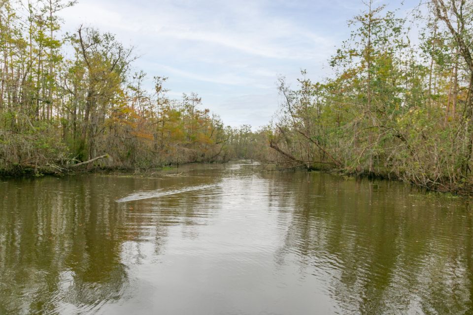 From New Orleans: Swamp Airboat, 2 Plantation Tours & Lunch - Positive Feedback