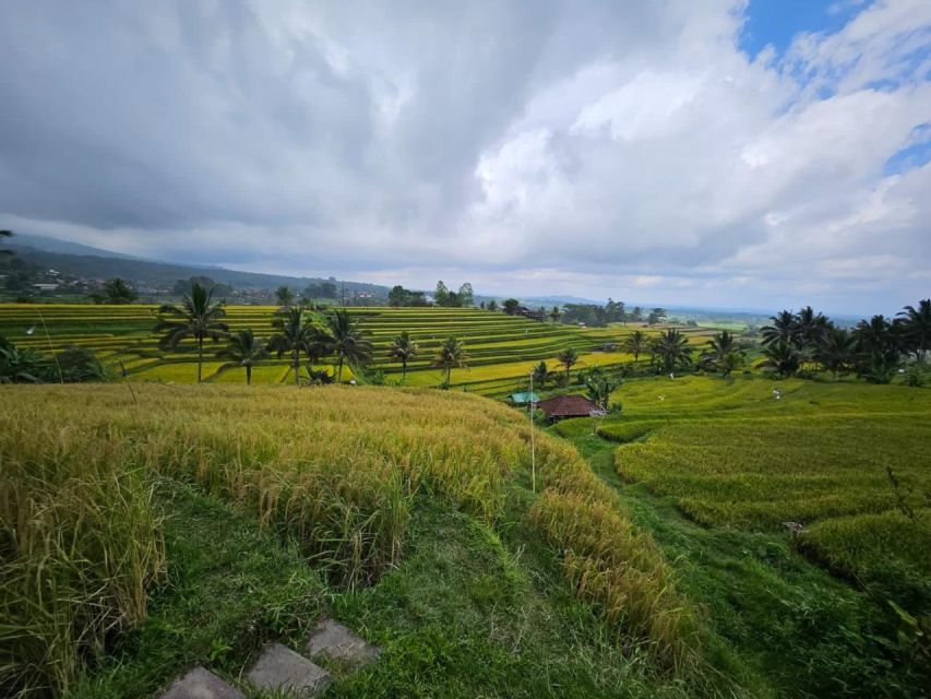 From North Bali: Tanah Lot, Sangeh Forest & Ulun Danu Temple - Handara Gate Experience