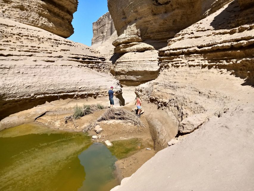 From Paracas/Ica: Canyon of the Lost Guided Day Trip - Exploring the Geological Wonders