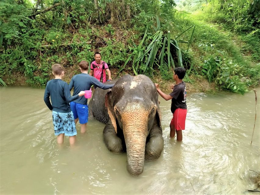 From Phuket: Elephant & Sea Turtle Conservation Private Tour - Authentic Thai Set Lunch