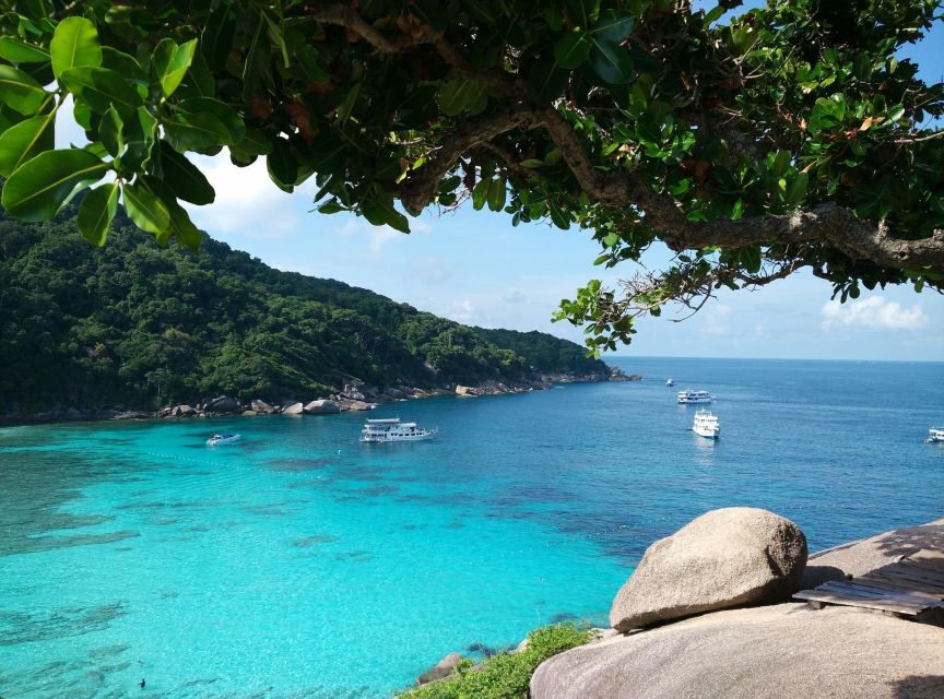 From Phuket: Full-Day Similan Island Scuba Diving Day Trip - Pricing and Booking