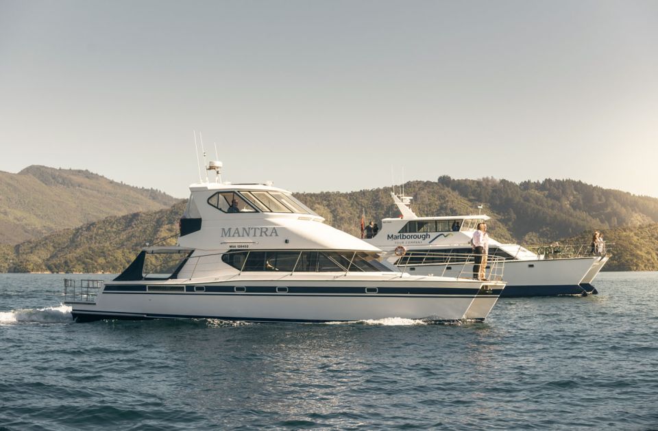 From Picton: Marlborough Sounds Cruise With Seafood - Meeting Point Details