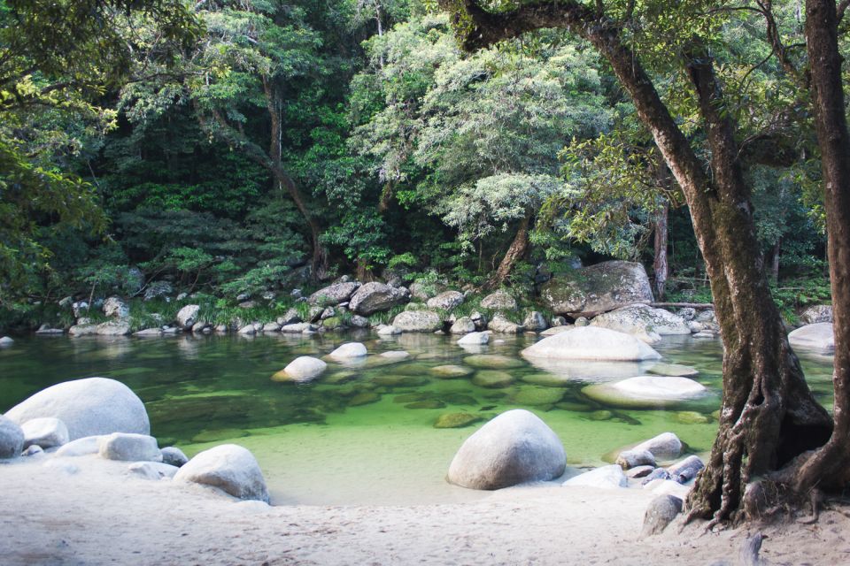 From Port Douglas: Daintree and Mossman Gorge Day Tour - Pricing and Inclusions