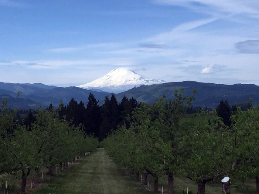 From Portland: Mt Hood, Hood River Valley and Columbia Gorge - Mount Hood and Timberline Lodge