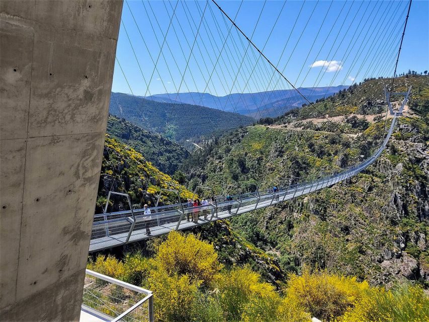 From Porto: Aveiro, Paiva Walkways and Arouca 516 Footbridge - Traditional Countryside Lunch