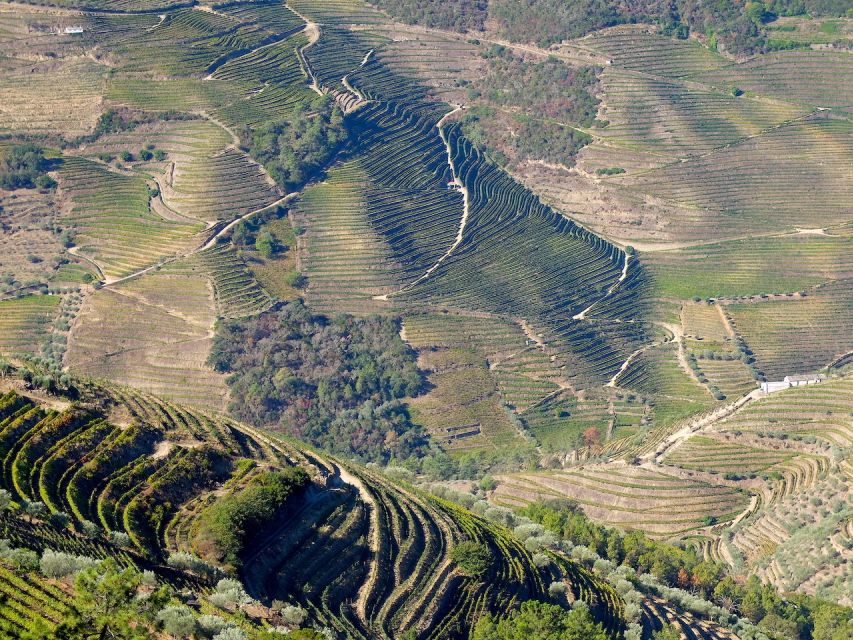 From Porto: Douro Region Private Food and Wine Day Tour - Exclusions