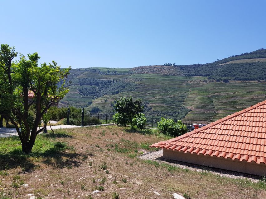 From Porto: Douro Valley 3 Vineyards Tour With Lunch - Directions