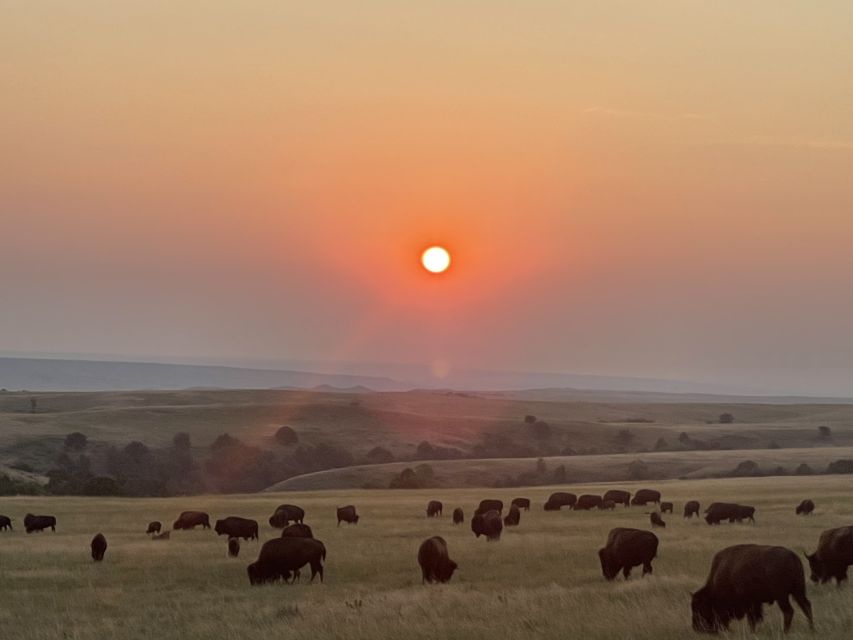 From Rapid City: Badlands National Park Trip With Wall Drug - Inclusions and Important Info