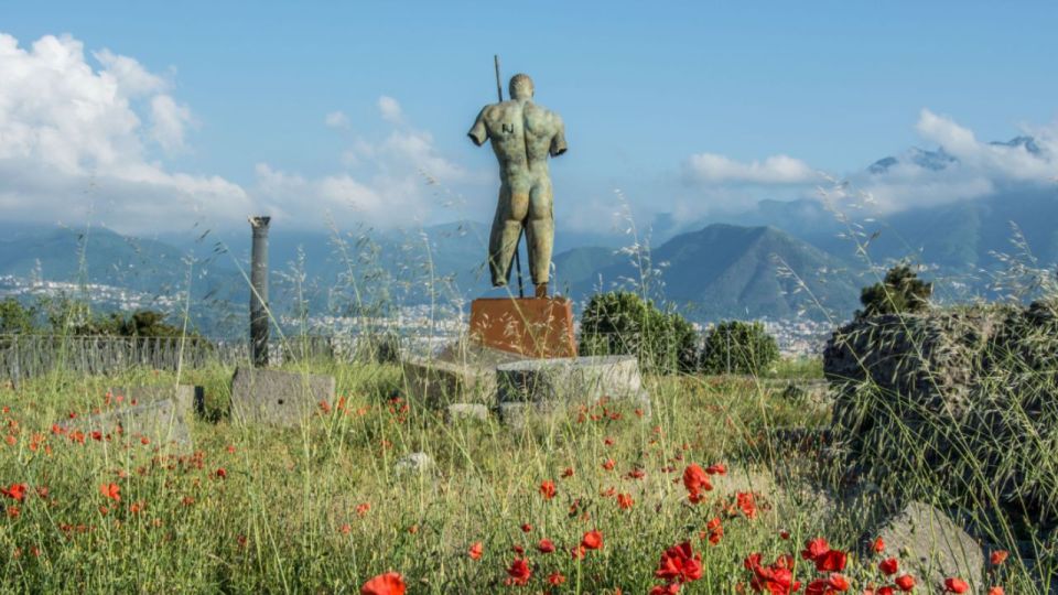 From Rome: Pompeii and Naples Day Trip by High-Speed Train - Transportation and Convenience