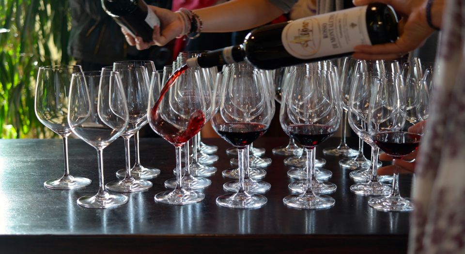 From Rome: Tuscany Full-Day Private Group Wine Tasting Tour - Winery Experience