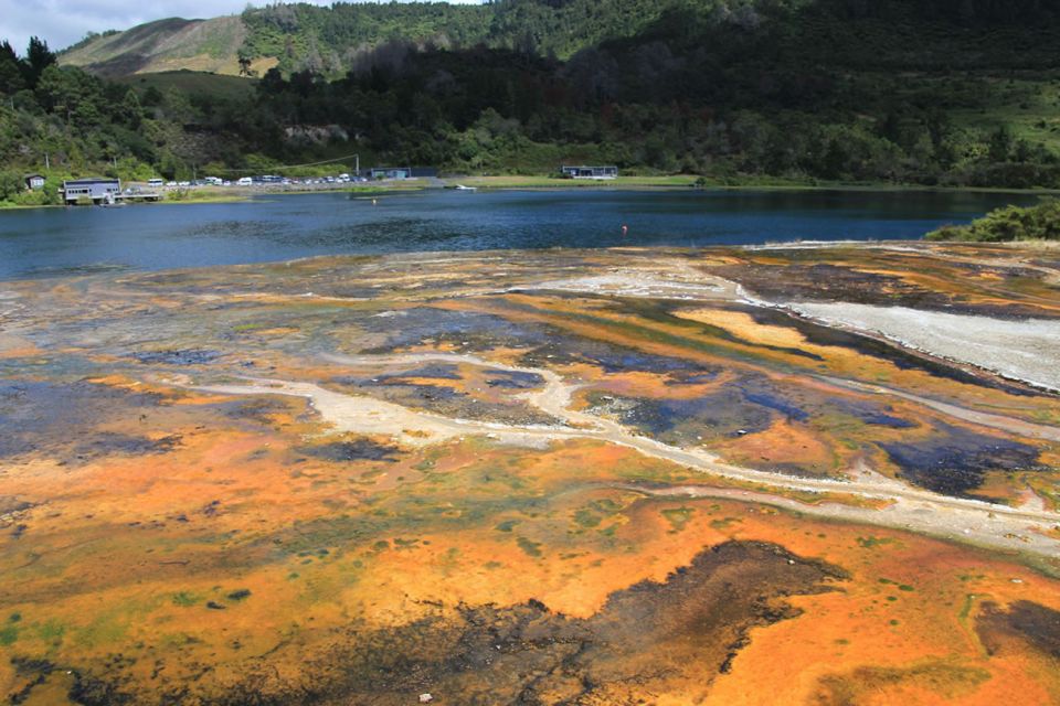 From Rotorua: Taupo Day Trip With Orakei Korako or Waiotapu - Weather and Mobility Considerations