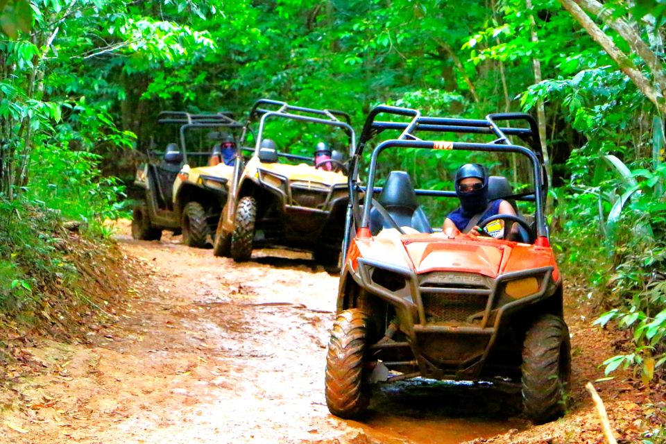 From Runaway Bay: Off Road Vehicle Adventure Tour - Complimentary Lunch