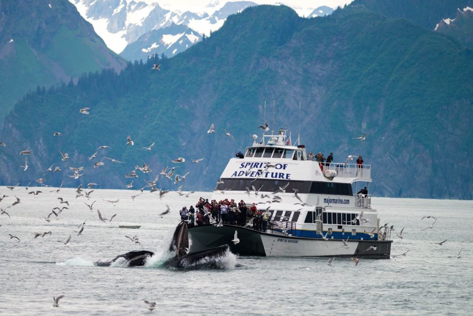 From Seward: Kenai Fjords National Park Cruise With Lunch - Complimentary Deli Lunch