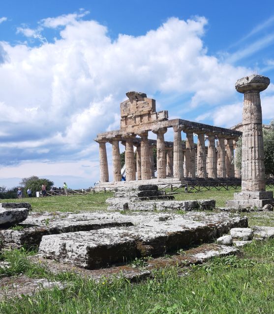 From Sorrento: Paestum Temples and Bufala Mozzarella Farm - Activity Inclusions