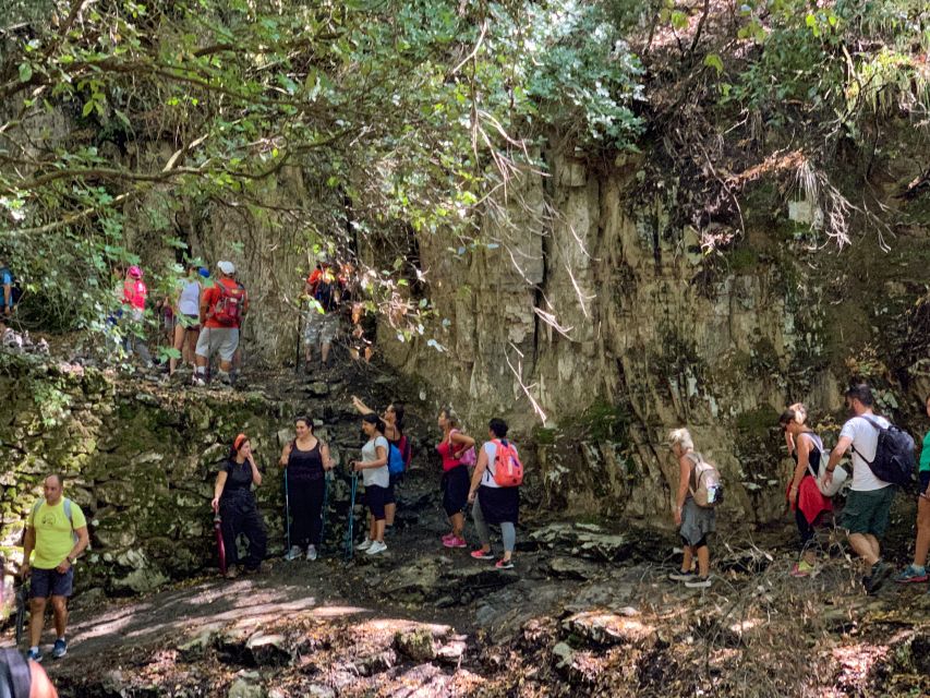 From Sorrento: Path of the Gods Hiking Experience - Highlights of the Experience