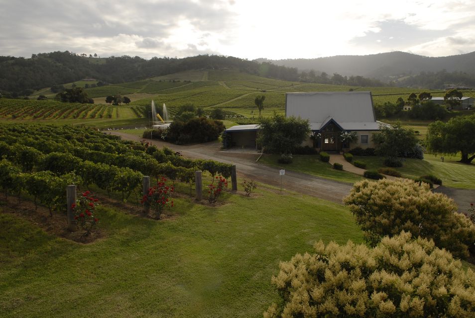 From Sydney: Hunter Valley Wine Tour With Cheese Tasting - Important Information