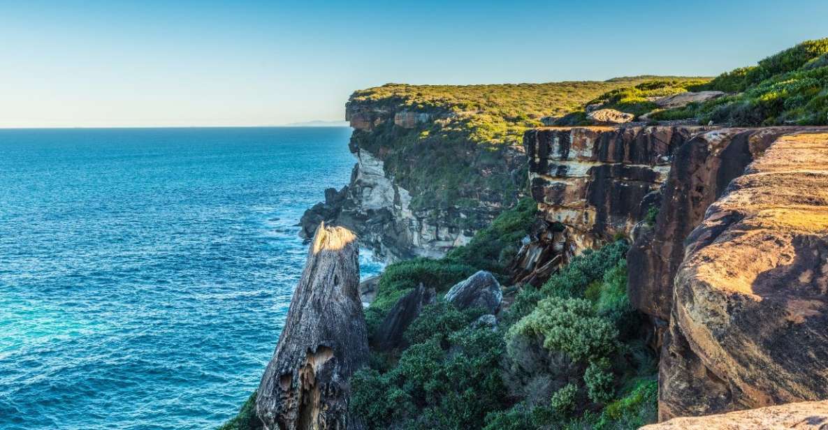 From Sydney: Royal National Park Private Tour - Important Information and Customer Review