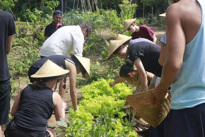 From Ubud: Authentic Bali Farm Cooking School & Organic Farm - Immersive Cultural Exploration