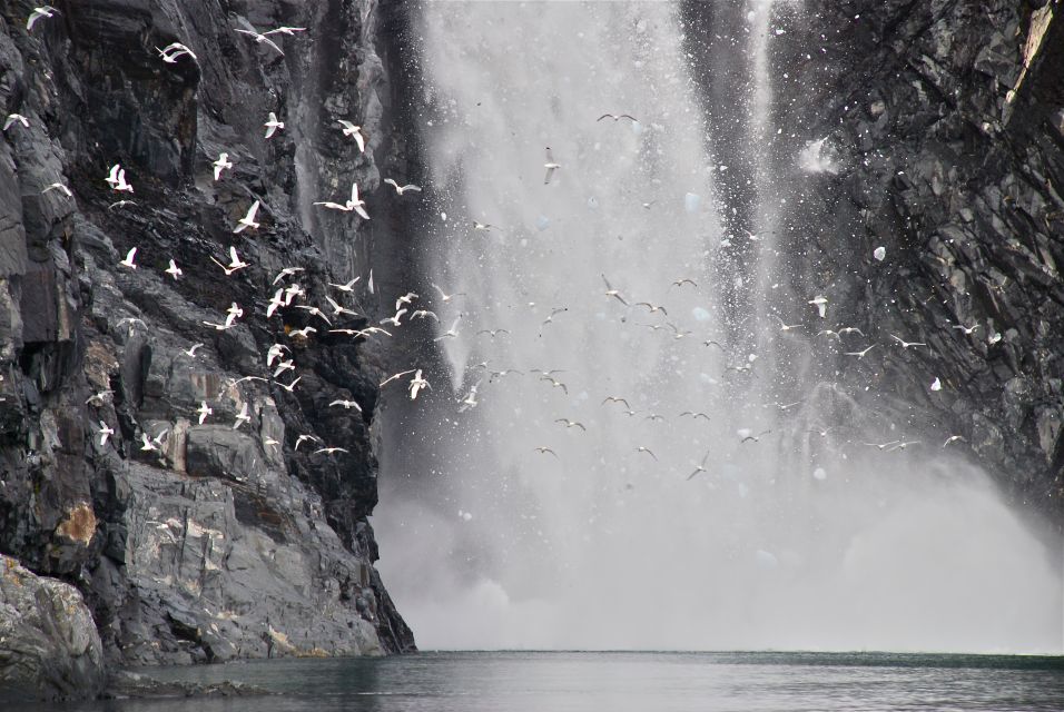 From Whittier: Glacier Quest Cruise With Onboard Lunch - Wildlife Spotting Opportunities