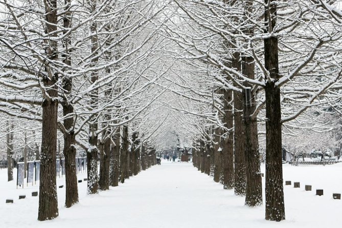 Full-Day Customizable Private Tour to Nami Island and Surrounding Area - Booking Process