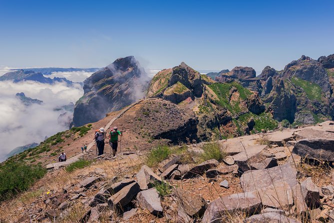 Full Day East of Madeira Tour - Customer Reviews