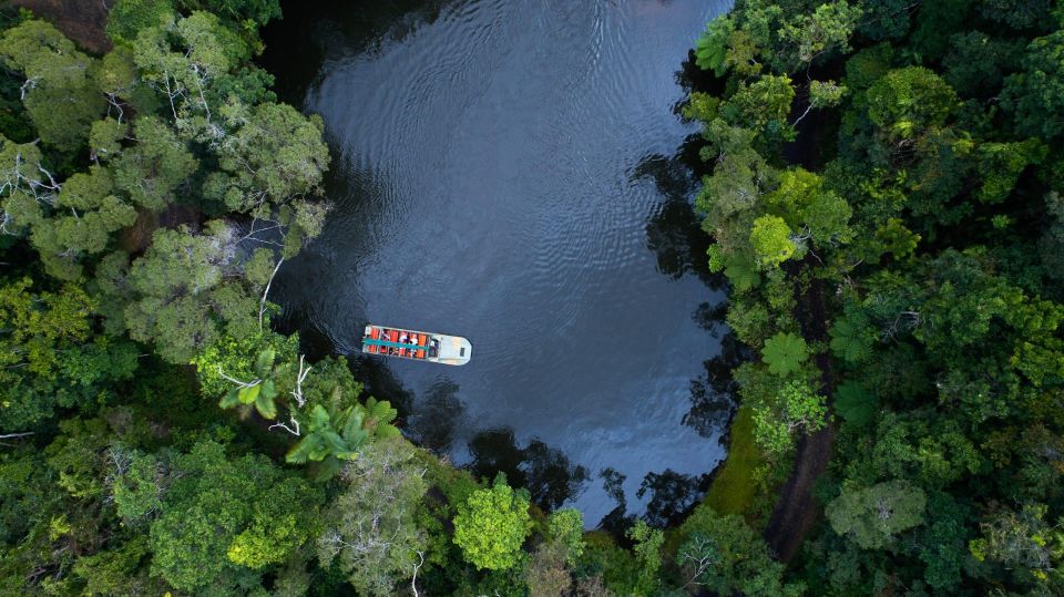 Full Day Guided Tour of Kuranda Including Skyrail One-Way - Important Information