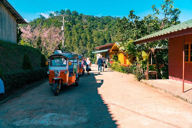 Full-Day Guided Tuk Tuk Chiang Mai Adventure and Rafting - Tuk Tuk Adventure