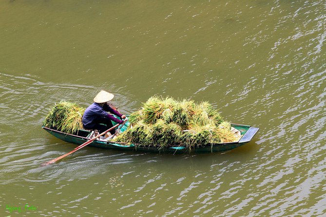 Full Day Hoa Lu Temples & Tam Coc Boating- Cycling - Tam Coc Boating