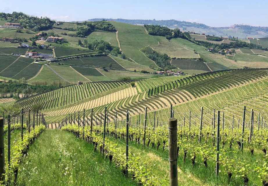 Full-Day Langhe Region Tour With Wine Tasting Experience - Important Information