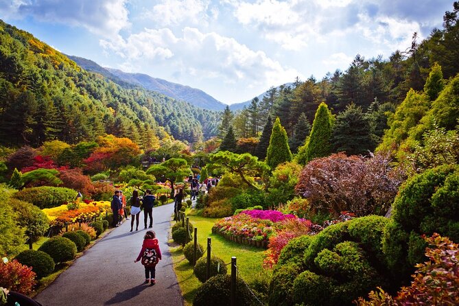 Full Day Private Tour Nami Island, Garden & Petite France - Group Size and Pricing