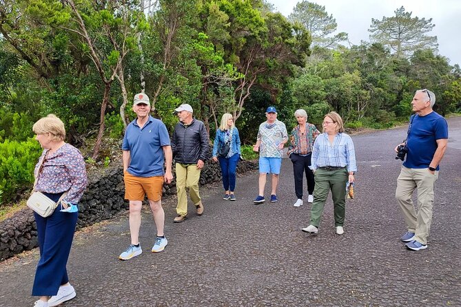 Full Day Tour With Lunch Included - Faial Island - Horta Harbor