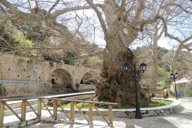 Full Day Trip to Knossos Cave of Zeus Lasithi & Olive Oil Factory - Olive Oil Factory