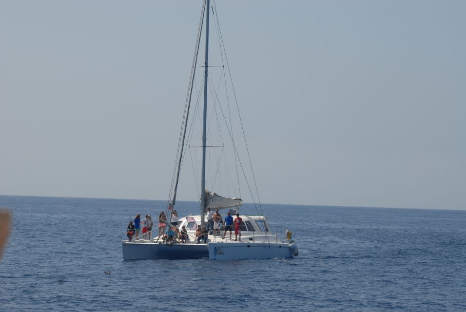 Funchal: Luxury Catamaran Private Charter - Included Services and Activities