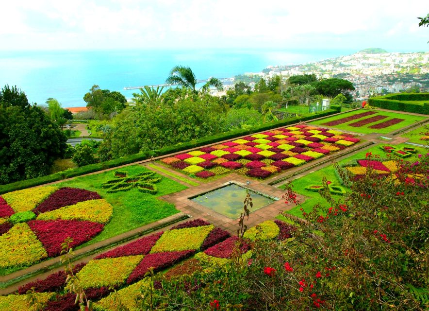 Funchal: Madeira Botanical Garden Private Tuk-Tuk Tour - Tour Experience Highlights