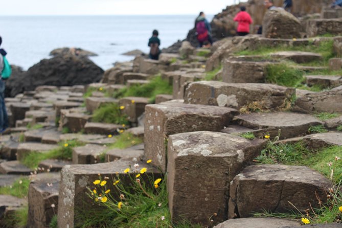 Game of Thrones and Giants Causeway Day Tour From Belfast - Marveling at the Giants Causeway