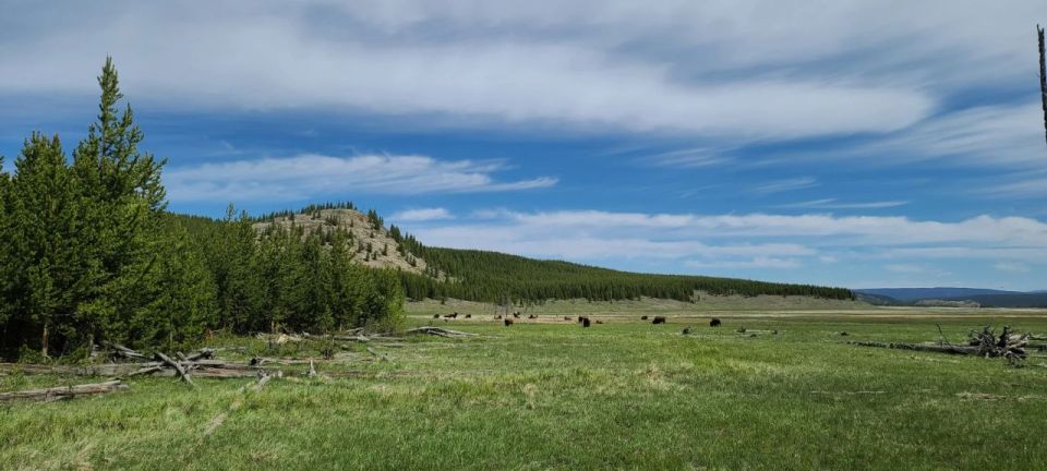 Gardiner: Yellowstone National Park Half Day Guided Hike - Additional Information