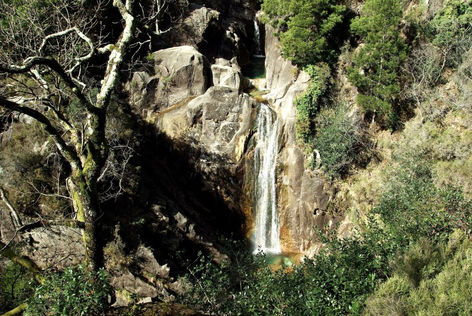 Gérvas National Park Full Day Tour - Knowledgeable Guide and Electric Car