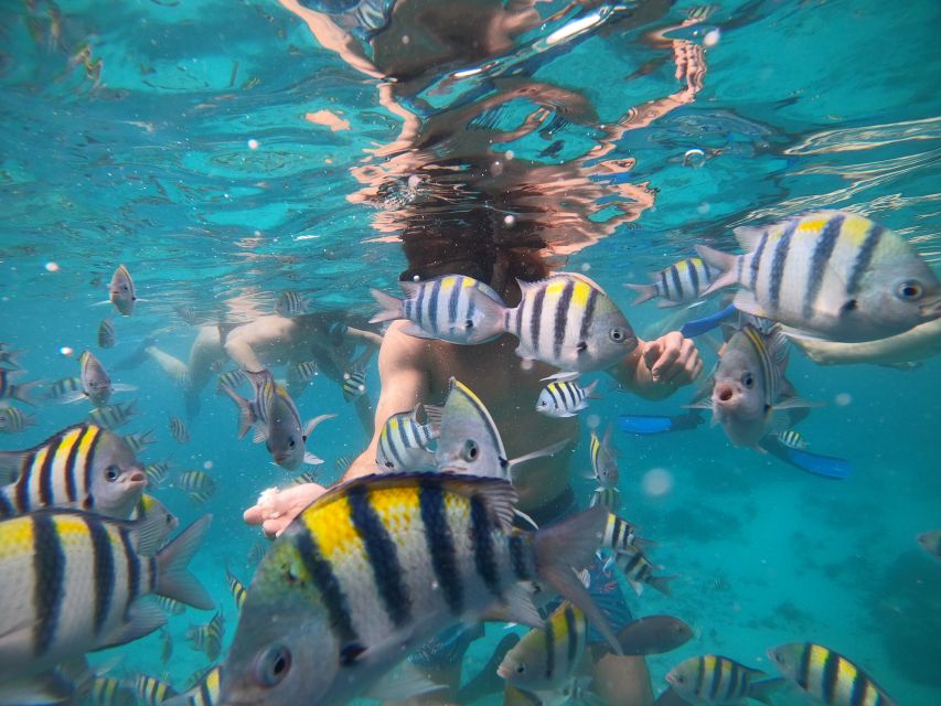 Gili Islands: 2-Hour Snorkel With Gopro Camera & Guide - Exploring the Blue Coral Snorkeling Spot