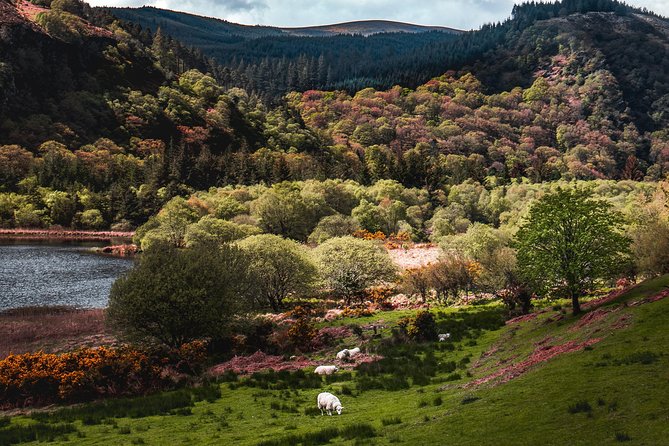 Glendalough Day Tour From Dublin: Including Kilkenny City - Cancellation Policy