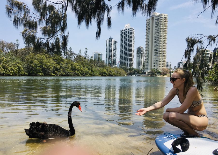 Gold Coast: 1-Hour Standup Paddleboarding Lesson & Photos - Recap