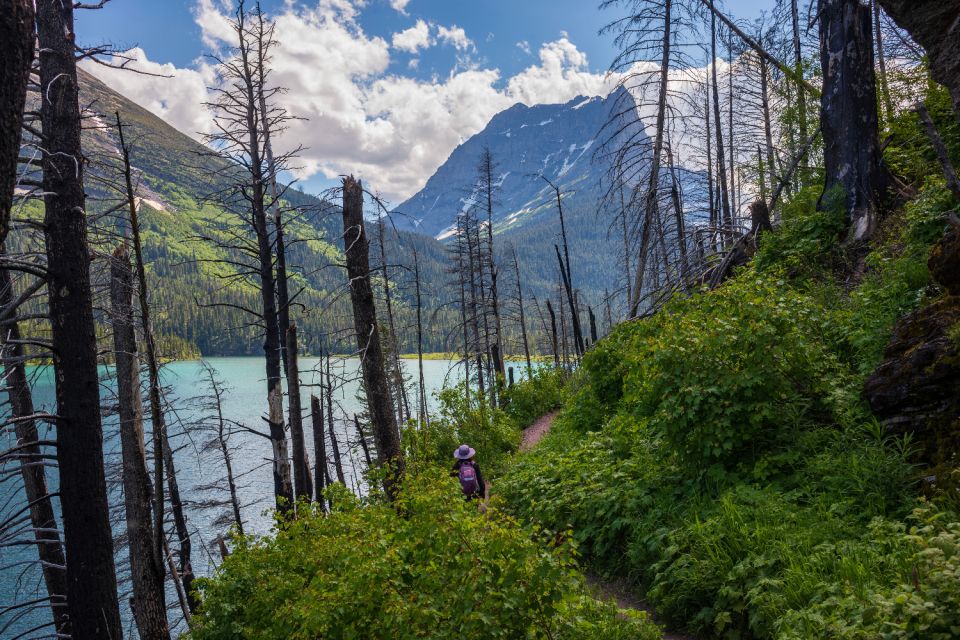 Grand Teton, Yellowstone, Glacier NP: Self-Guided Audio Tour - Hands-free Experience