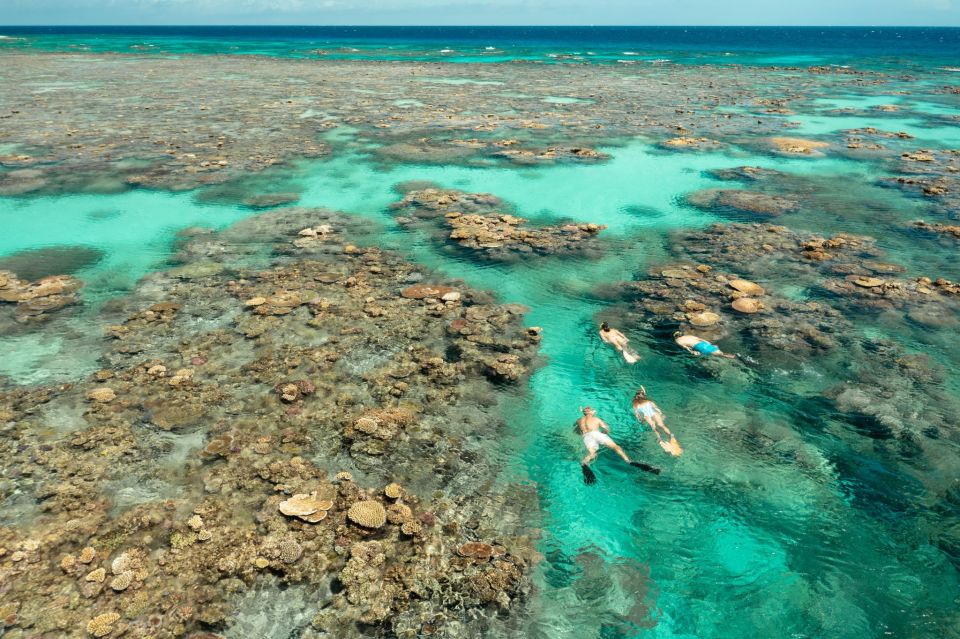 Great Barrier Reef Snorkel & Dive Full-Day Adventure - Frequently Asked Questions