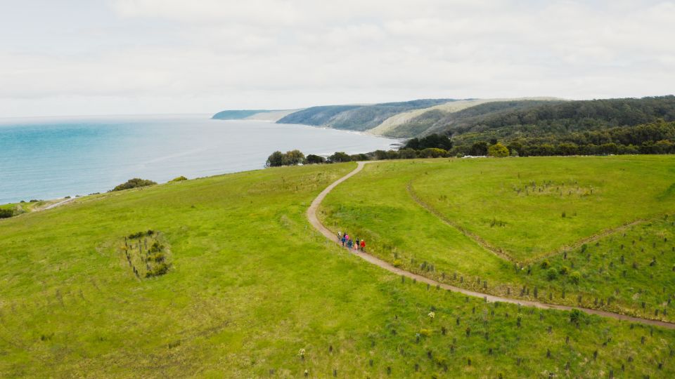 Great Ocean Road: Guided Wildlife Walk That Supports Nature - Booking Information and Reservation