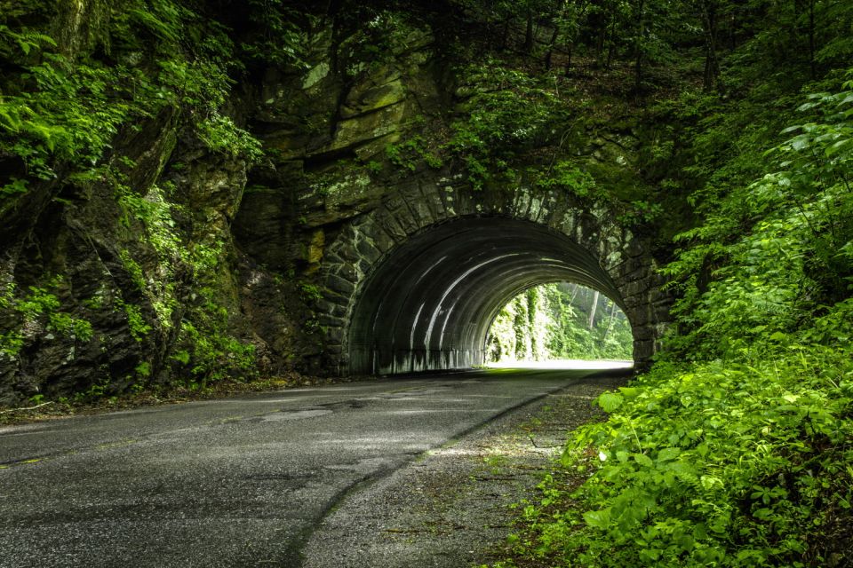 Great Smoky Mountains National Park Self-Guided Driving Tour - Mingus Mill