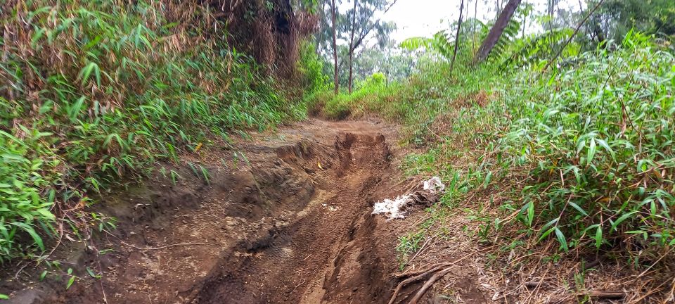 Guided Bromo Dirt Bike Tour From Malang or Surabaya - Restrictions