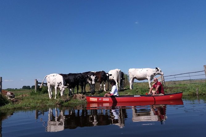 Guided Canoe Adventure With Picnic Lunch in Waterland From Amsterdam - Recommended Attire and Preparation