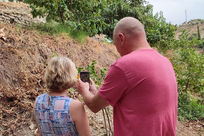 Guided Tour to the Only Coffee Farm in Europe - Highlights of the Coffee Farm Tour