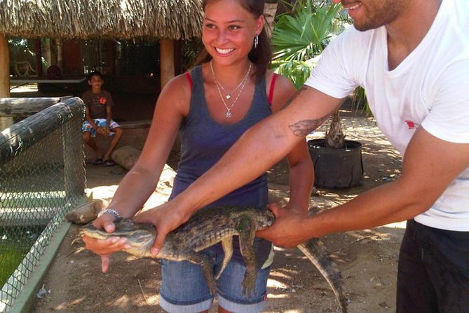 Half-Day Aruba Animal Sanctuary Guided Tour - Important Considerations