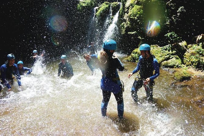 Half Day Canyoning at Ribeira Dos Caldeirões - Reviews and Accolades