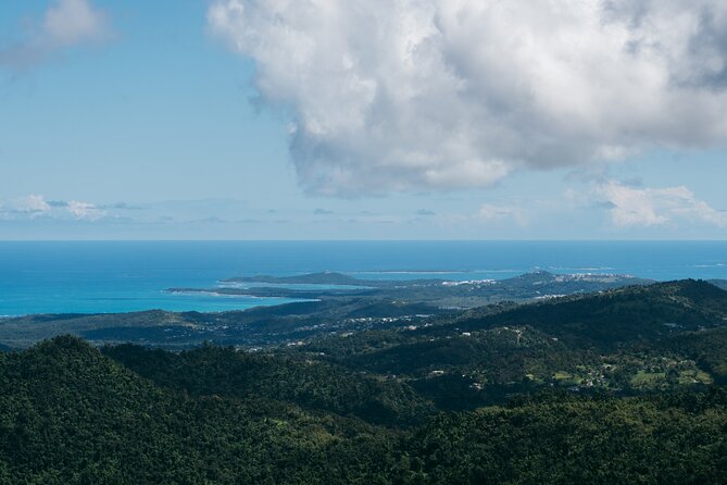 Half-Day El Yunque National Forest Tour From San Juan - Booking Information